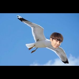 Meet your Posher, Jemma Blackstairs.